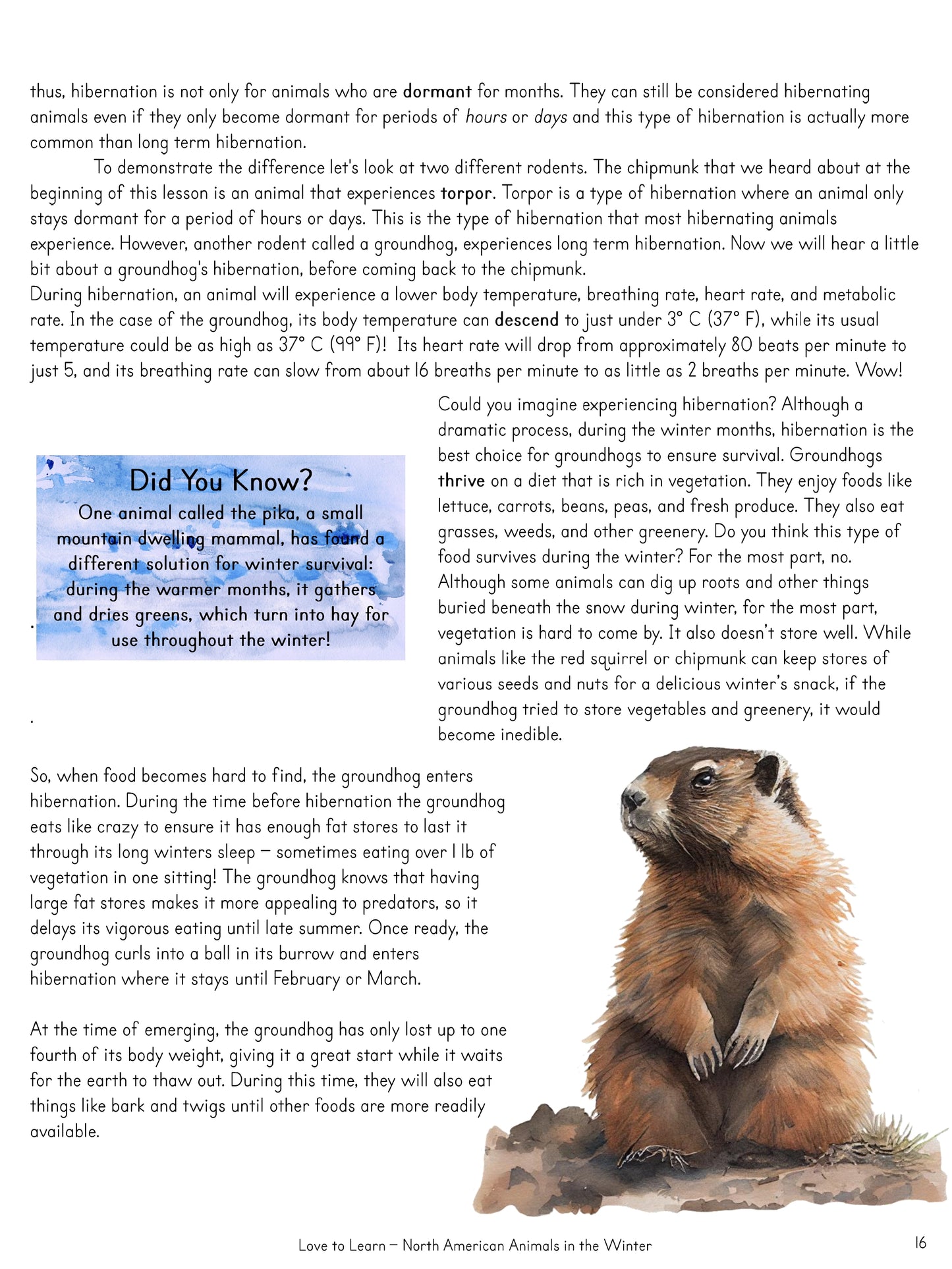 North American Animals in the Winter